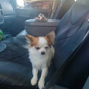 Meet your Posher, Barbie